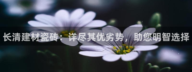 杏鑫代理注册平台