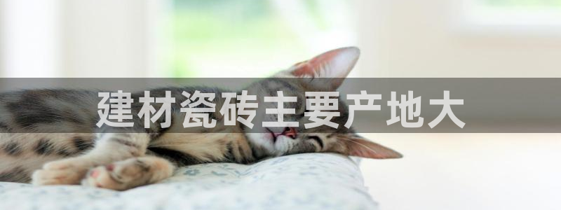 杏鑫平台注册网址查询