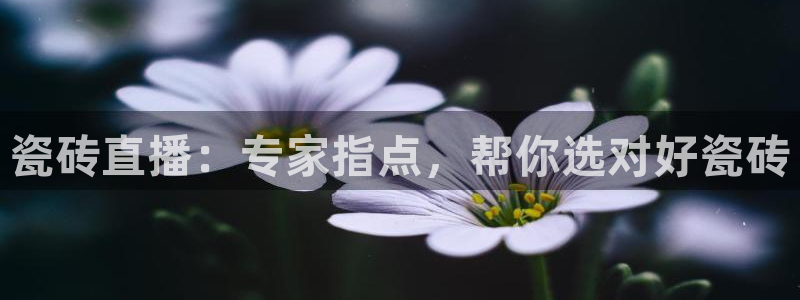 杏鑫官方平台怎么样啊