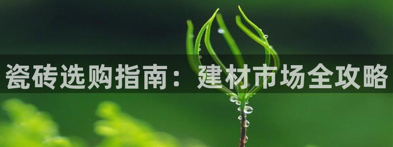 杏鑫平台招商电话