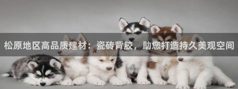杏鑫娱乐官方网站客户端下载