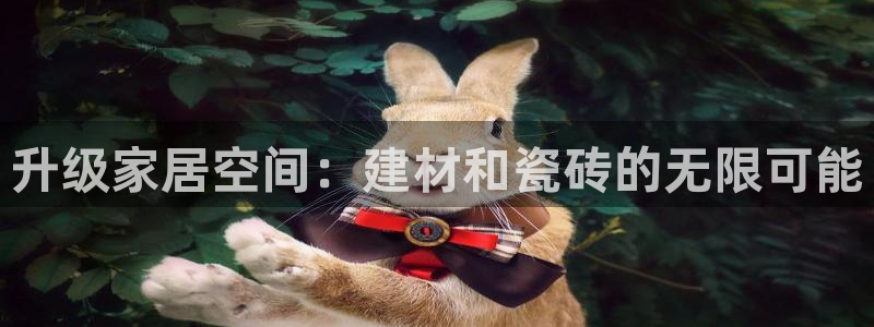 杏鑫招商总代