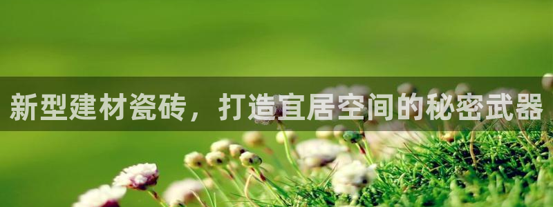 杏鑫平台怎么样黑钱吗是真的吗还是假的