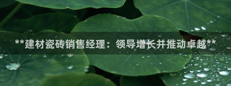 杏鑫平台代理怎么做的