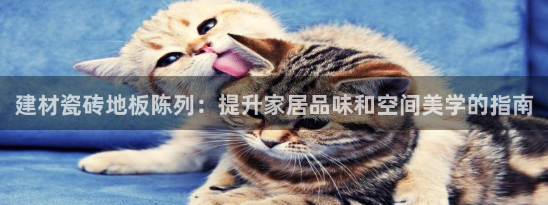 杏鑫官方app代理