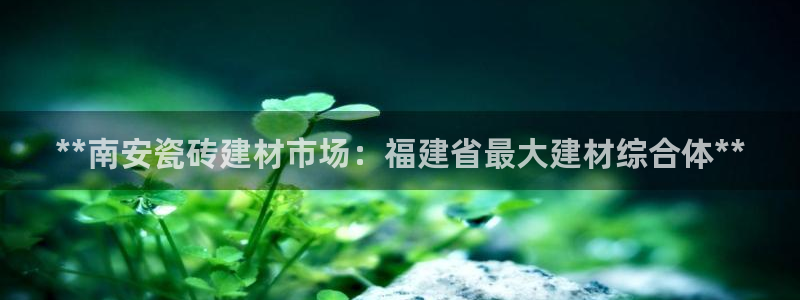 杏鑫平台注册入口