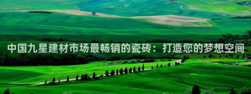 杏鑫平台在线注册流程