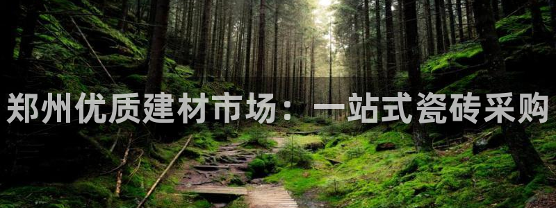 杏鑫平台怎么样知乎