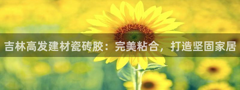 杏鑫官网最新信息新闻