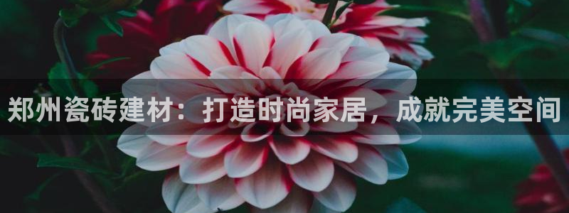 杏鑫娱乐平台测速