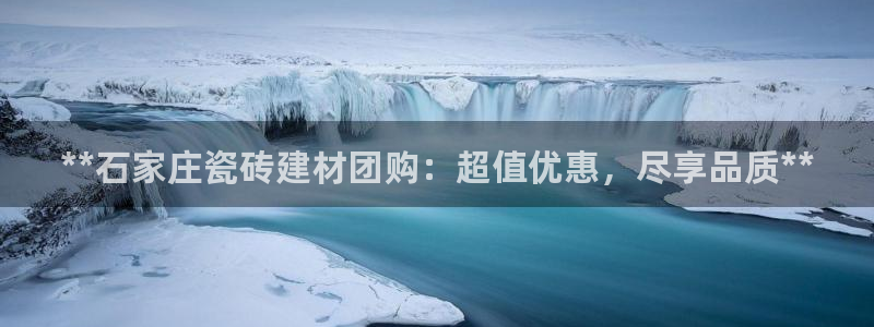 杏鑫平台代理注册流程图