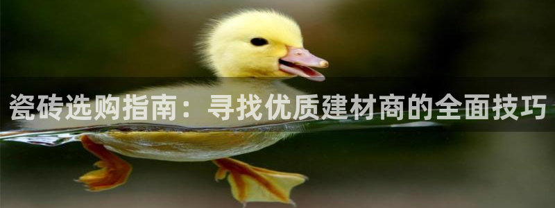 杏鑫官网注册账号是什么意思