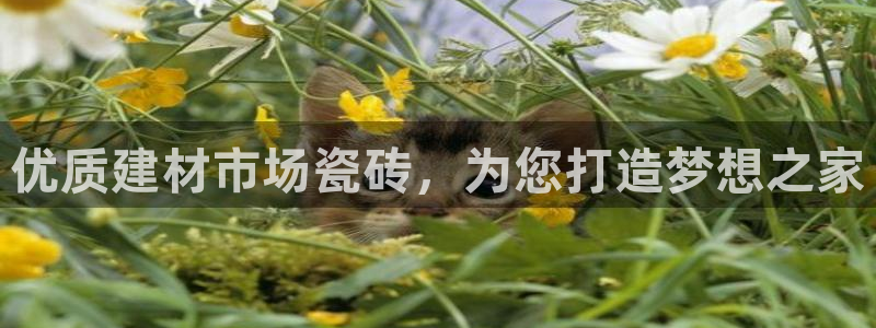 杏鑫注册登录平台