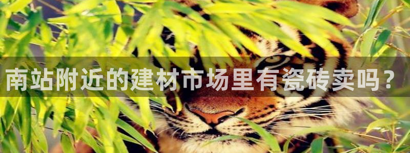 杏鑫娱乐是合法的吗是真的吗
