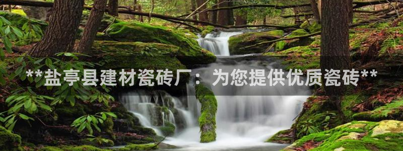 杏鑫平台代理注册登录不了怎么办呀苹果