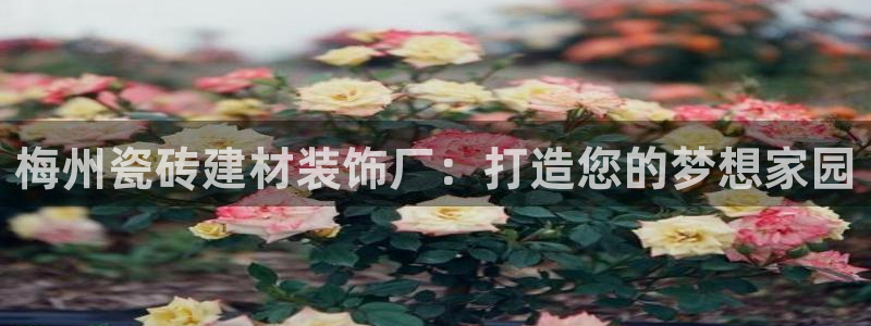 杏鑫平台招商电话
