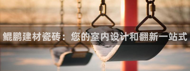 杏鑫平台注册网址