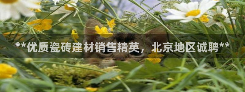 杏鑫平台怎么样黑钱吗是真的吗知乎