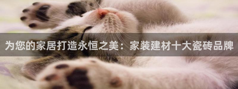 杏鑫平台代理注册登录不了怎么办呀视频
