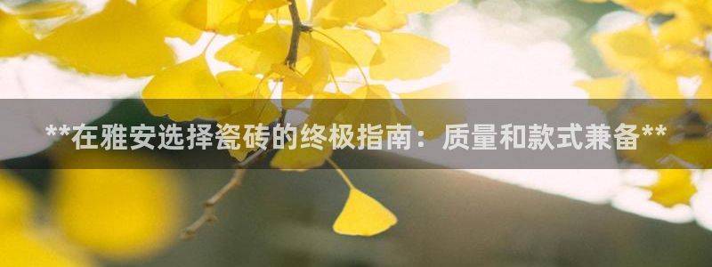 杏鑫平台招商怎么样