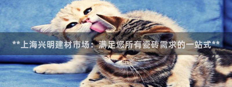 杏鑫平台招商
