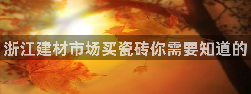 杏鑫平台登录