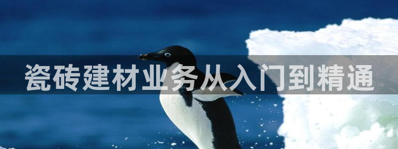 杏鑫平台注册登录