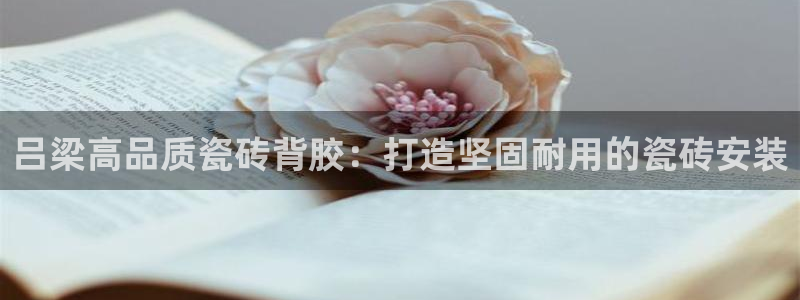 杏鑫平台直属哪个公司