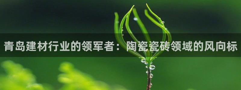 杏鑫平台下载安装
