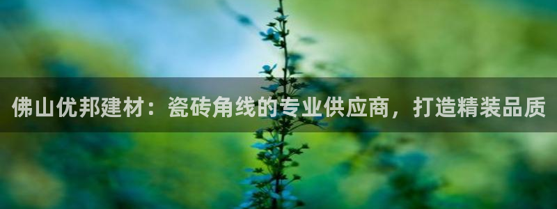 杏鑫平台注册登录
