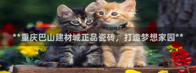 杏鑫官方平台怎么样