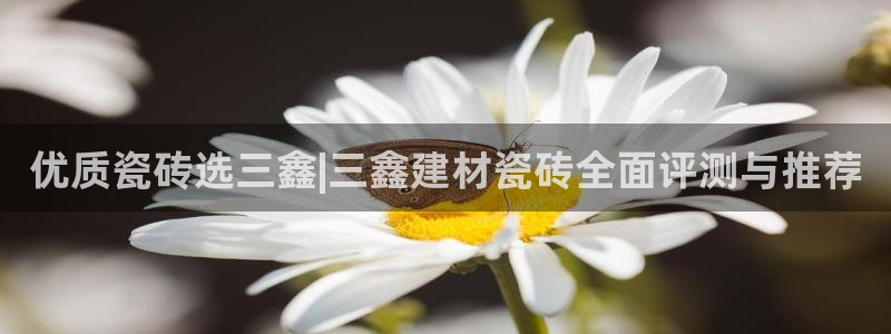 杏鑫平台招商怎么样