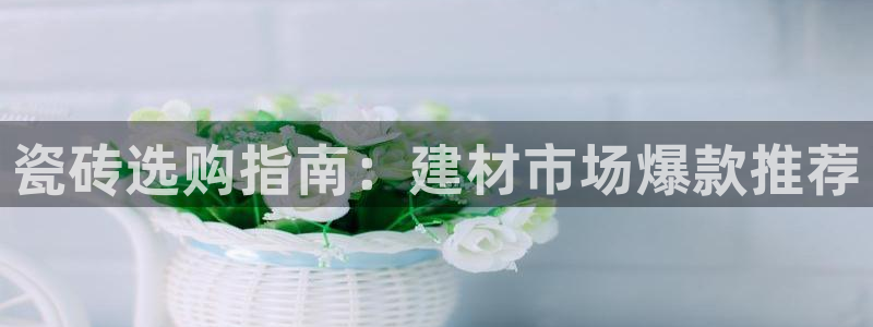 杏鑫娱乐官网登录不了