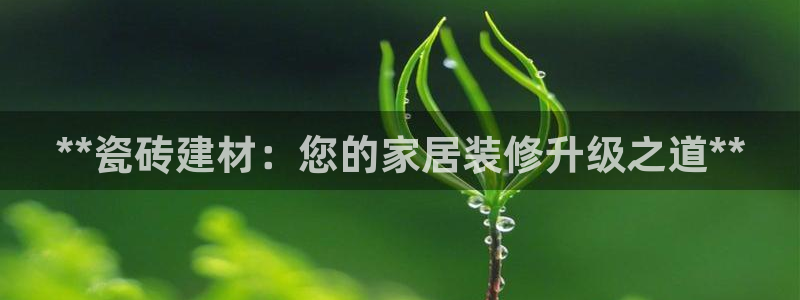 杏鑫平台代理怎么做赚钱