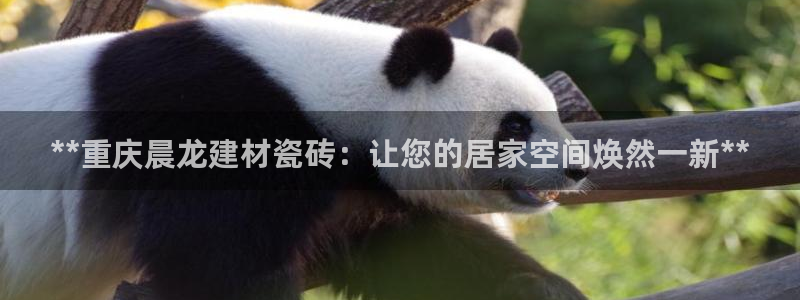 杏鑫娱乐官方网站客户端下载
