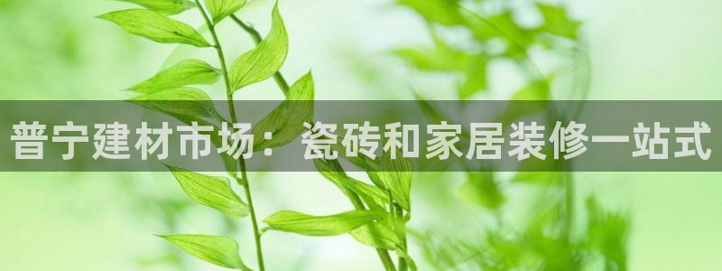 杏鑫平台注册网址查询