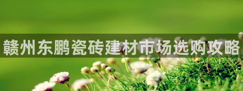 杏鑫平台注册登录