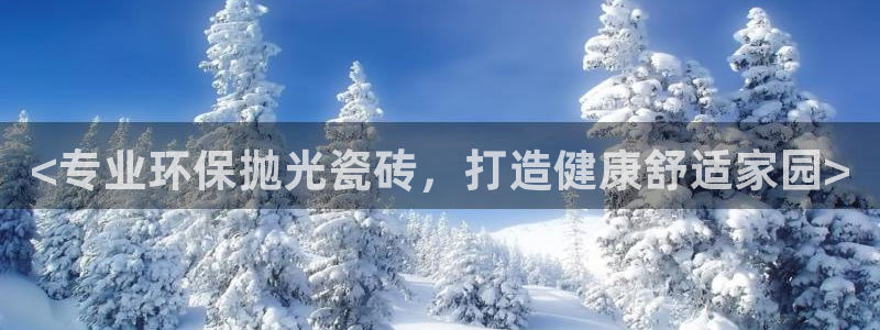 杏鑫平台代理注册登录不了怎么办呀视频