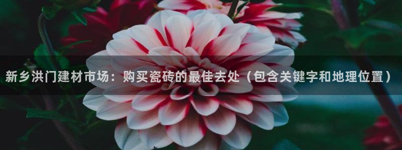 杏鑫平台招商电话号码查询
