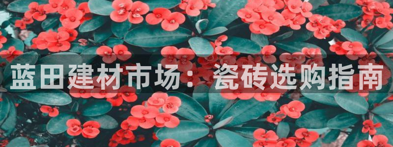 杏鑫平台野马联盟