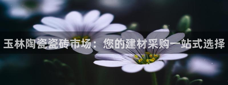杏鑫官方平台怎么样啊知乎