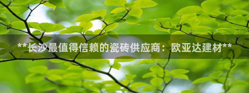 杏鑫官网最新信息新闻