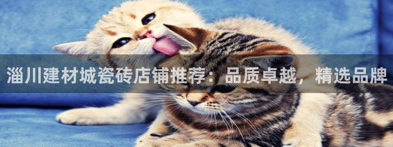 杏鑫平台怎么样黑钱吗知乎推荐