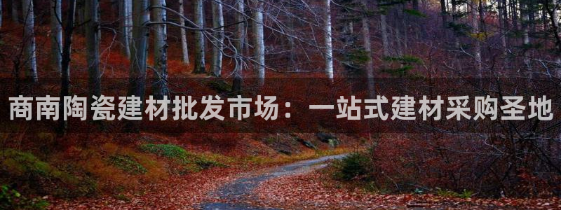 杏鑫官方平台怎么样可靠吗