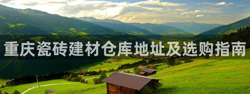 杏鑫平台代理注册流程视频