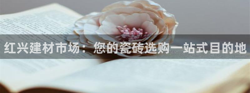 杏鑫娱乐平台