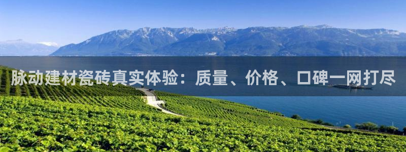 杏鑫有亏损返点吗