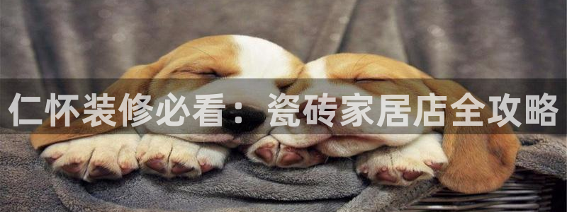 杏鑫手机客户端怎么下载