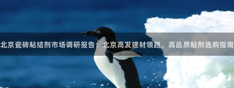 杏鑫平台代理怎么做的