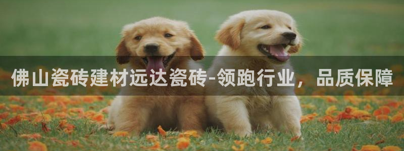 杏鑫娱乐是合法的吗?
